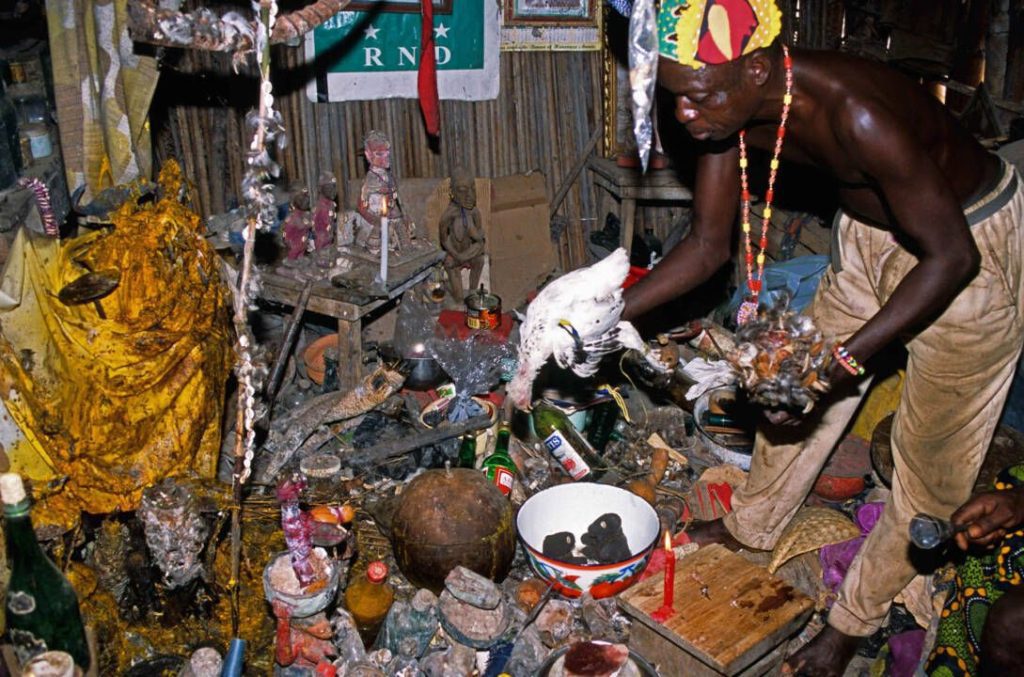 voodoo spell doctor in colombia